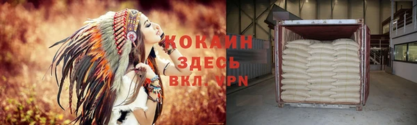 спиды Алзамай